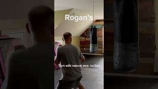 Comparing Spinning back kick tweaks of Joe Rogan amp Jet Li karate  spinning kicks [upl. by Esbensen162]