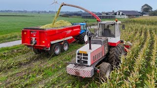 Mais oogst 2024 met STEYR 8300 bij Melkveeb Mts Overgaauw Vergeer 4K [upl. by Doble]