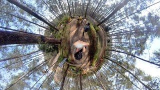 Footage Video Vr 360° memakai Kamera Huawei Envizion CV60  Orchid Forest Cikole 2019 [upl. by Aiotal328]