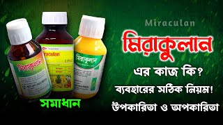 মিরাকুলান এর কাজ কি  Miraculan  ব্যবহারের সঠিক নিয়ম  PGR [upl. by Darby879]