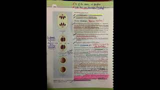 Cell cycle and cell division class 11 ncert Biology highlights [upl. by Aniratak]