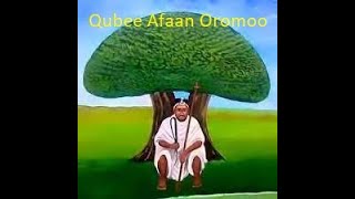 Qubee Afaan Oromoo [upl. by Crifasi766]