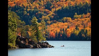 8 TopRated Ontario Parks Exploring Ontarios Great Outdoors  Canada [upl. by Bil834]