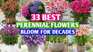 33 Perennial Flowers that Bloom For Decades  Long Flower Bloom Perennial  Plant and Planting [upl. by Prebo781]