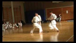 Heian Godan Bunkai  LG Fudoshin Ryu Grafing 2008 [upl. by Nolyak]