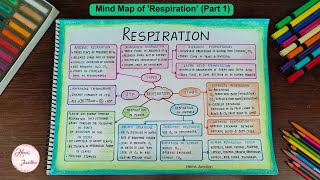 Respiration Class 10 Mind Map Part 1 [upl. by Aldwon]