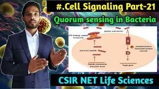 Quorum sensing in Bacteria part2  Cell Signaling part21  CSIR NET Life Sciences [upl. by Annasoh]