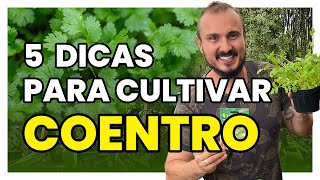 Cinco dicas para cultivar os diferentes tipos de COENTRO [upl. by Ahsirat]