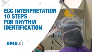 ECG interpretation 10 steps for rhythm identification [upl. by Meghann]