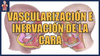 ANATOMÍA  VASCULARIZACIÓN E INERVACIÓN DE LA CARA [upl. by Marigolde]