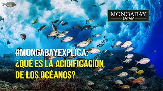 Mongabay explica ¿Qué es la acidificación de los océanos y cuáles son sus consecuencias [upl. by Ahsinuq616]