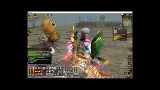 DEKARON TW PVP Segita Hunter vs Concerta summoner [upl. by Naahs]