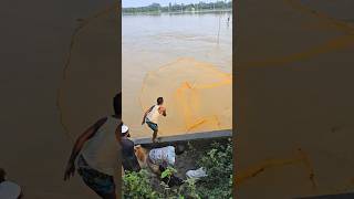 বন্যার পানিতে মানুষের মাছ ধরার উৎসব  Fishing Adventure Bd [upl. by Ilsa]