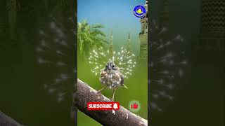 ও মদিনার বুলবুলি তোমার নামে ফুলতলি🌹O Modinar Bulbuli। viral gojol [upl. by Laurentia]