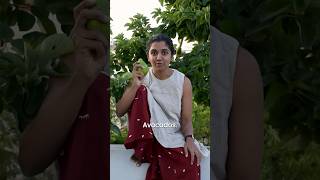 Local vs Global Food  Part 1  Food and Nutrition  nutrition golocal indianfood avocado [upl. by Matheny620]