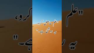 Advice of Behlol Daana  بہلول دانا کی نصحتیں  Qisas alIman [upl. by Laurene]