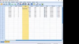 Introduction to SPSS in Urdu [upl. by Atrim341]