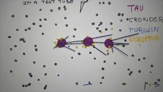 Microtubule nucleation through phase separation [upl. by Marthena]