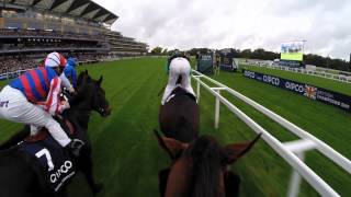 British Champions Day Jockey Camera [upl. by Portugal]