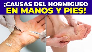 5 Causa del HORMIGUEO EN LAS MANOS Y PIES que no conoces ➜ Cuando Acudir al médico 👨‍⚕️ [upl. by Lavelle]