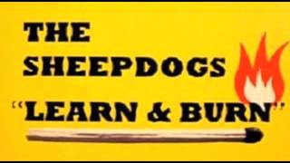 The Sheepdogs  Catfish 2 Boogaloo [upl. by Haldeman]