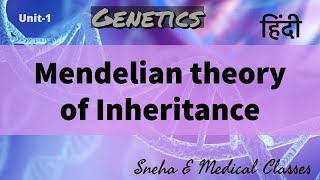 Mendelian theory of inheritance in Hindi  Genetics [upl. by Bopp]