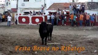 Azambuja  Feira de Maio 2009 Largada de Toiros  Dia 1 Junho [upl. by Rancell]