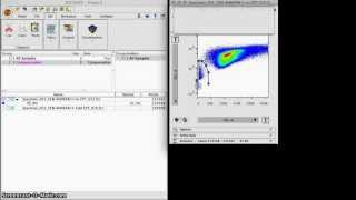 Gating Annexin V Data [upl. by Mloc256]