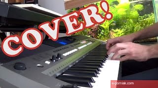 Dumka na dwa serca  Keyboard cover Full HD [upl. by Cirad]