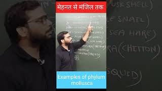 Trick to learn examples of phylum mollusca  Govind yadav  NEET 2025  Shorts [upl. by Eidnalem]