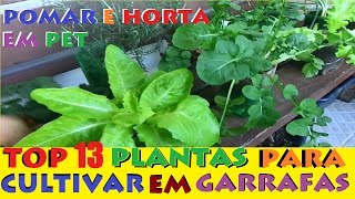 13 PLANTAS PARA CULTIVAR EM GARRAFAS PET [upl. by Elke712]