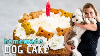 Easy Homemade Dog Cake Recipe [upl. by Maier]