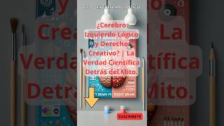 🚨¿Cerebro Izquierdo Lógico y Derecho Creativo  La Verdad Científica Detrás del Mito🚨 [upl. by Vernor129]