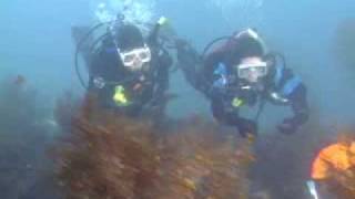 PADI Scuba Diving Lessons PADI Dry Suit Diver course [upl. by Nivk517]