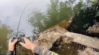 Epic Fishing Walking The Banks of The Murrumbidgee River [upl. by Arat880]