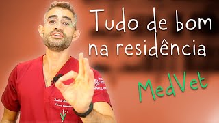 5 Vantagens de fazer residência veterinária  Residência 2 [upl. by Ellirpa884]