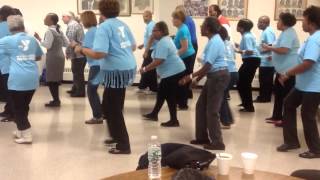 quotRoll it Roll itquot WEY Line dancers [upl. by Aihsyn]