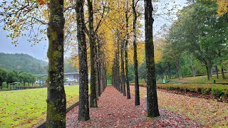 A Walking Tour of Uemura Naomi Park in Hidaka Toyooka One of Japans Most Famous Parks [upl. by Macri]