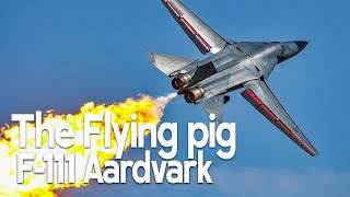 F111 Aardvark The Flying Pig [upl. by Frances]