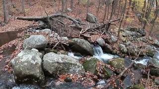 Backpacking the Terrapin Mountain loop [upl. by Atiloj910]