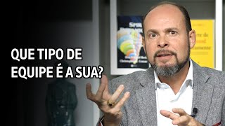 Os 3 principais tipos de equipes de trabalho nas organizações [upl. by Amehsat]