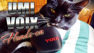 Umi Voix Earphones Handson  Review  Better than Xiaomi Piston V3  Efox  ColonelZap [upl. by Lil785]