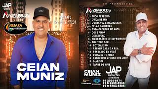 CEIAN MUNIZ  NOVO CD  2023 TÀ TUDO PERFEITO OFICIAL [upl. by Nosbig]