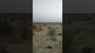 Cholistan Desert Bahalwapur song music [upl. by Milman]