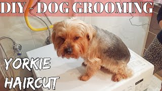 DIY  How to Groom A Yorkshire Terrier quotYorkiequot puppy Dog Haircut at home [upl. by Gnehs]