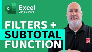 Excel Filters with the SUBTOTAL Function [upl. by Aihsenot]