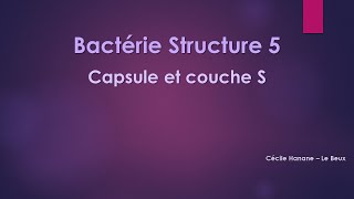 Bactérie Structure 5 CAPSULE et COUCHE S bactériennes [upl. by Ymac]