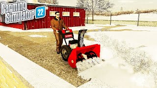 I STARTED A SNOW PLOW COMPANY WITH 0 AND SNOW BLOWER [upl. by Ignatia572]