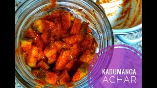 Kadumanga Achar കടുമാങ്ങ അച്ചാർ Kerala Style Mango Pickle [upl. by Amata]