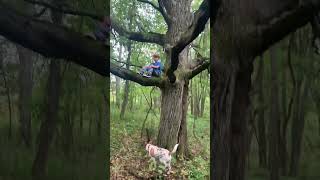 My Grandsons Favorite Tree 🤜🤛 nature morelmushroomhunting mushroomhunting mushroomlife puppy [upl. by Ayekam]